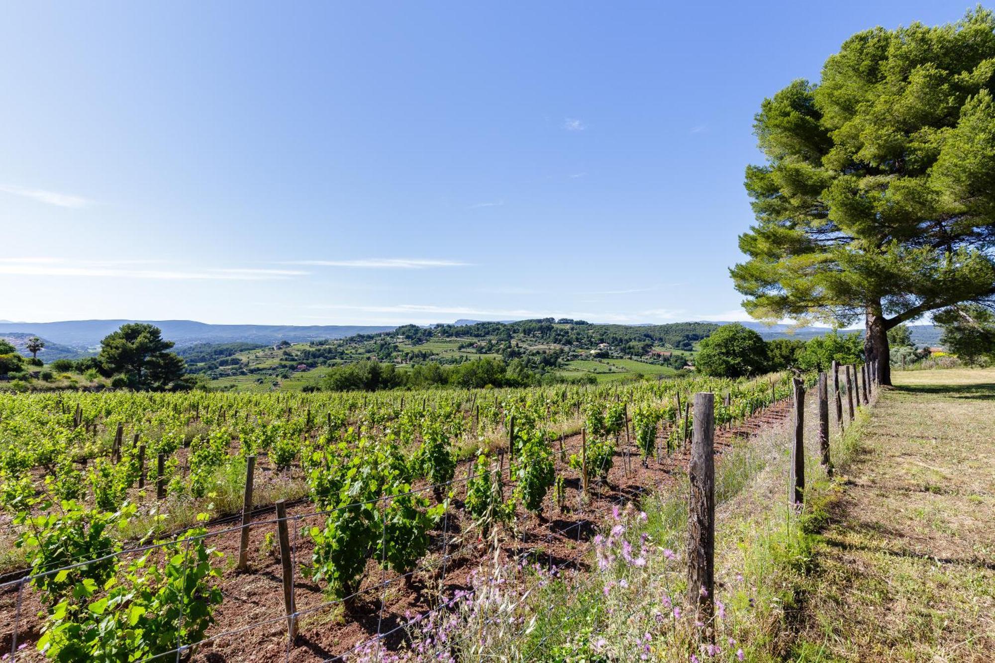 לה באסט Lodges Park Castellet Provence - Gites Dans Les Vignes Aoc Bandol A 15 Min Des Plages Et Du Circuit Paul Ricard F1 חדר תמונה