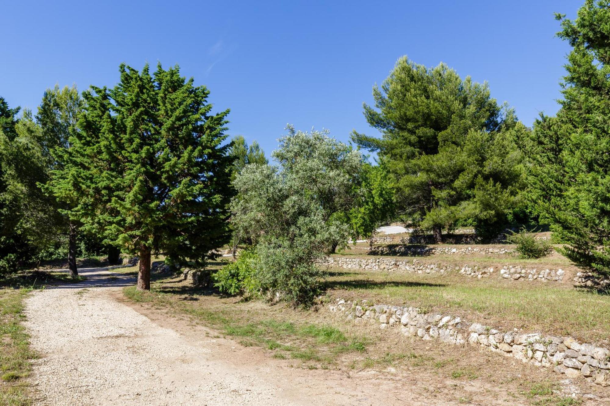 לה באסט Lodges Park Castellet Provence - Gites Dans Les Vignes Aoc Bandol A 15 Min Des Plages Et Du Circuit Paul Ricard F1 חדר תמונה