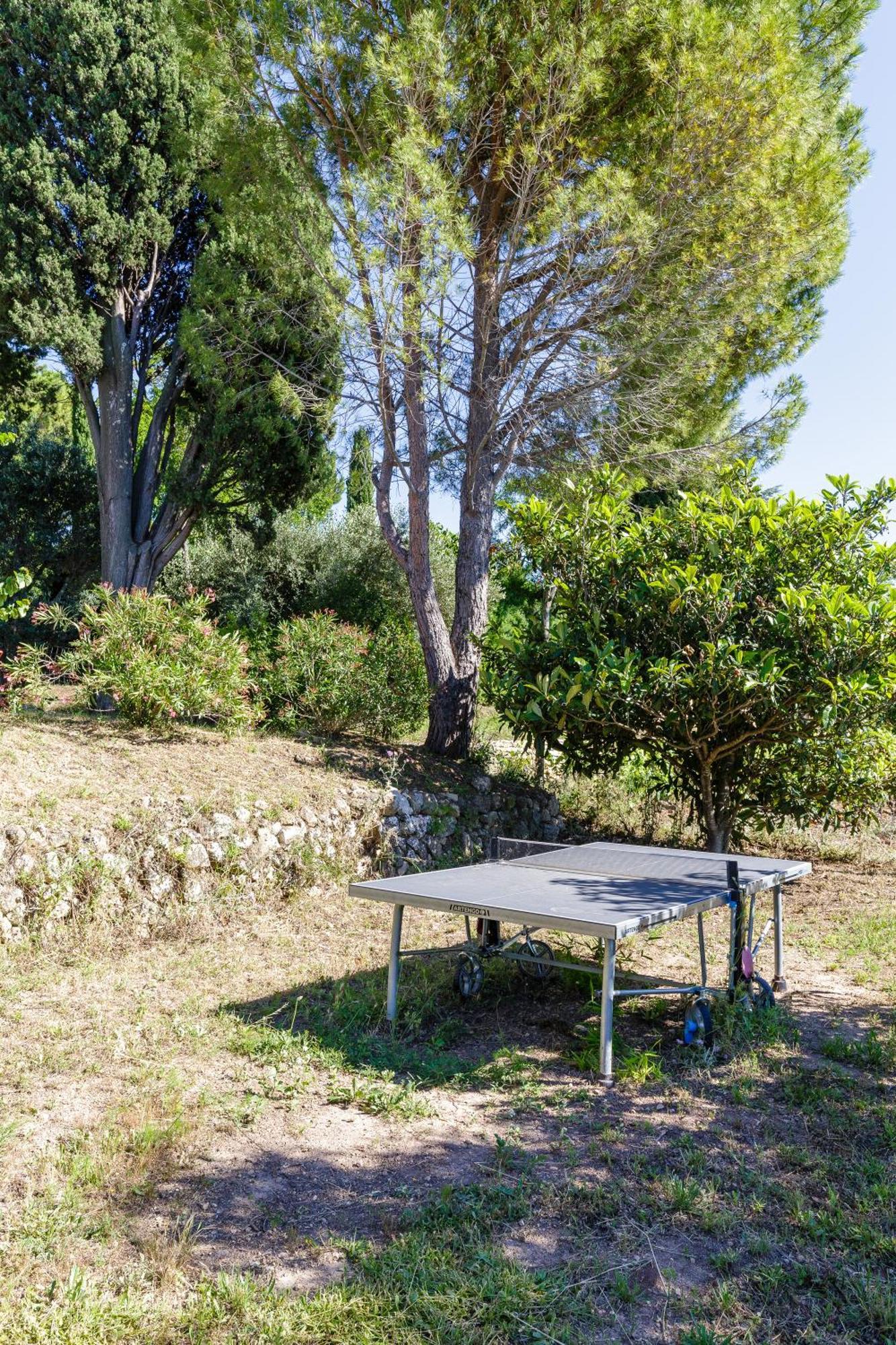 לה באסט Lodges Park Castellet Provence - Gites Dans Les Vignes Aoc Bandol A 15 Min Des Plages Et Du Circuit Paul Ricard F1 חדר תמונה